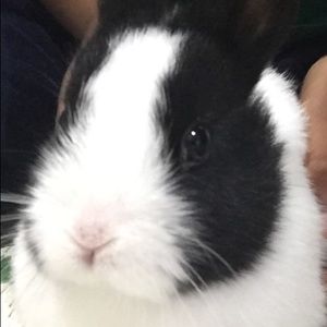 Meet your Posher, Asha